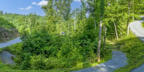 Image 4: DJI_0642-HDR