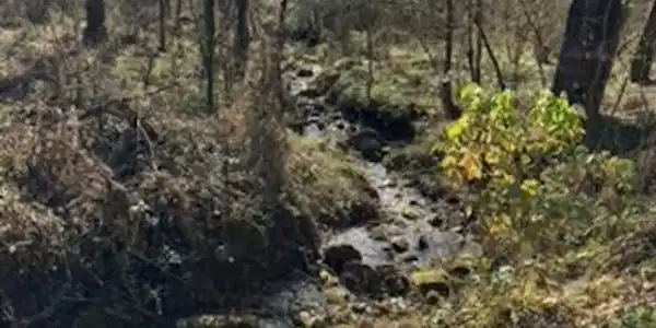 Image 3: 28
