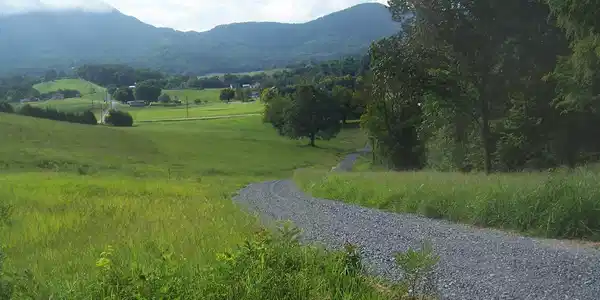 Image 2: Batson Farms 15 Ac (6)