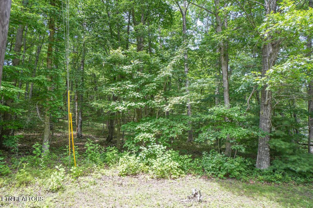 Image 1: DSC00710
