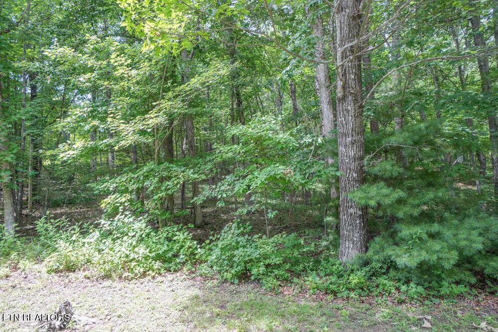 Image 2: DSC00711