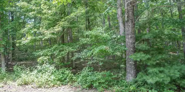 Image 2: DSC00711