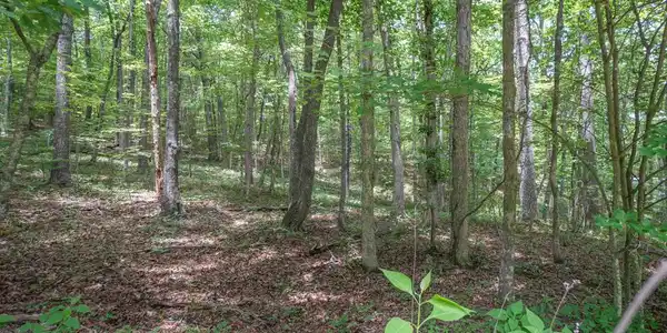 Image 3: DSC00712