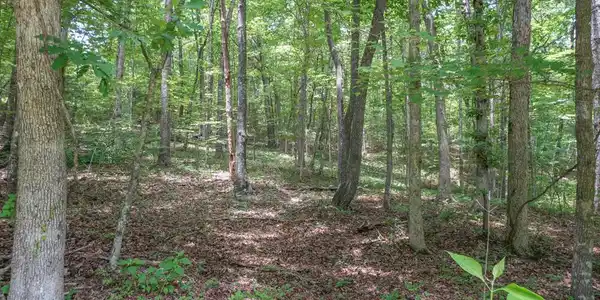 Image 4: DSC00713