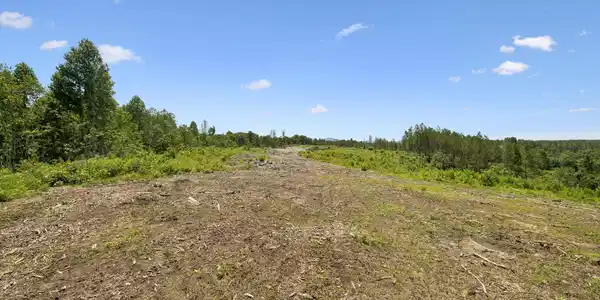 Image 4: 4-1859 Nydeck Trail - 1 - 004