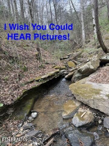 Image 1: Hickory Creek Ln