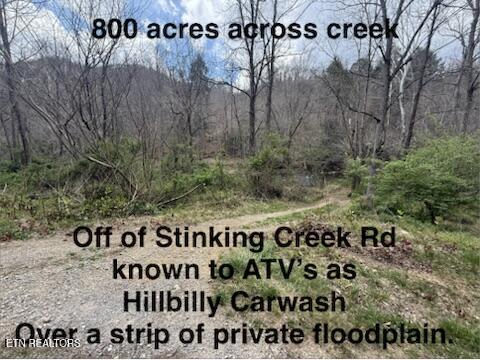 Image 3: Stinking Creek Rd
