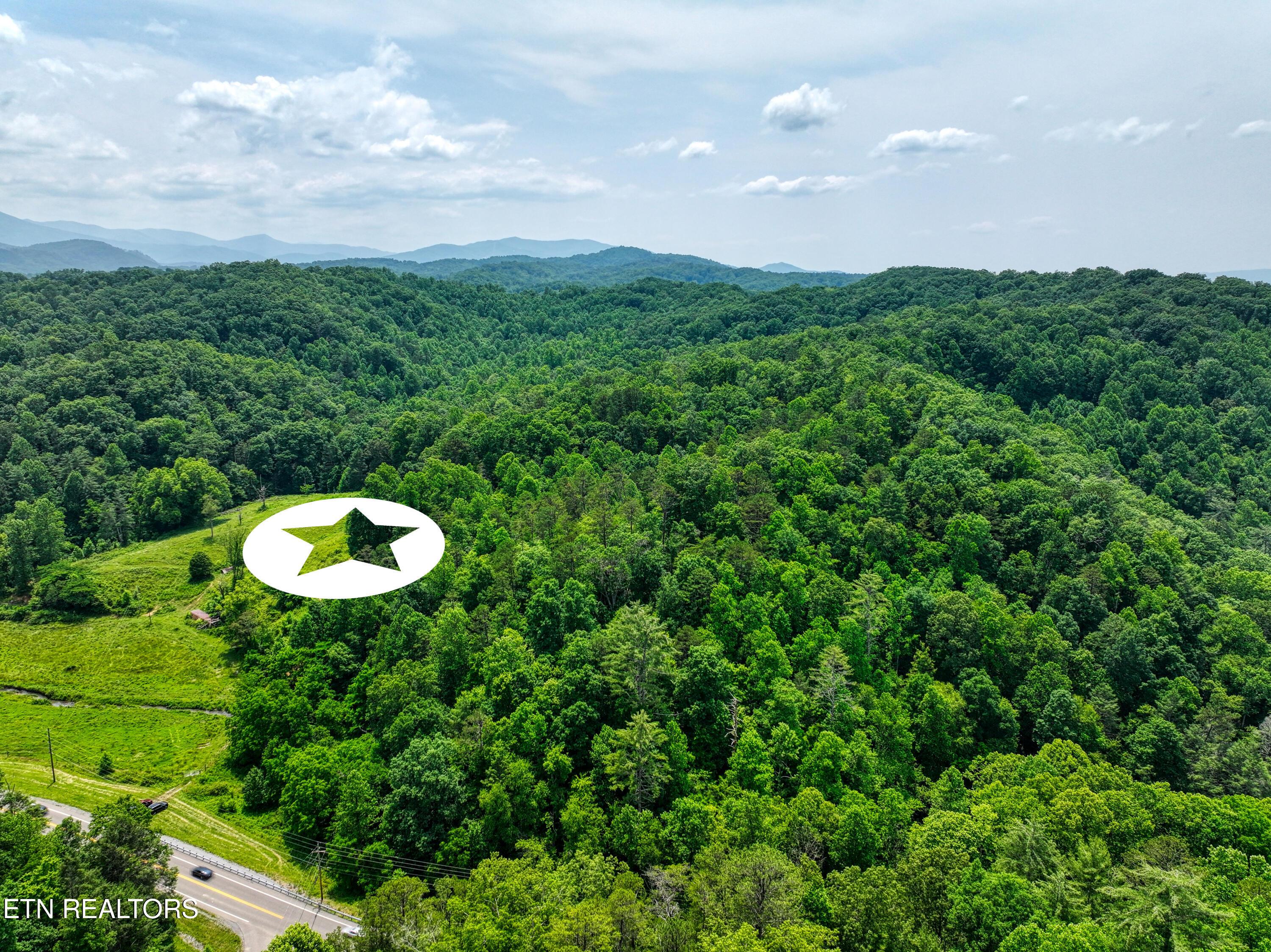 Image 3: DJI_20250611144256_0980_D_95