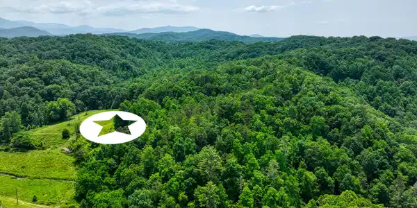 Image 3: DJI_20250611144256_0980_D_95
