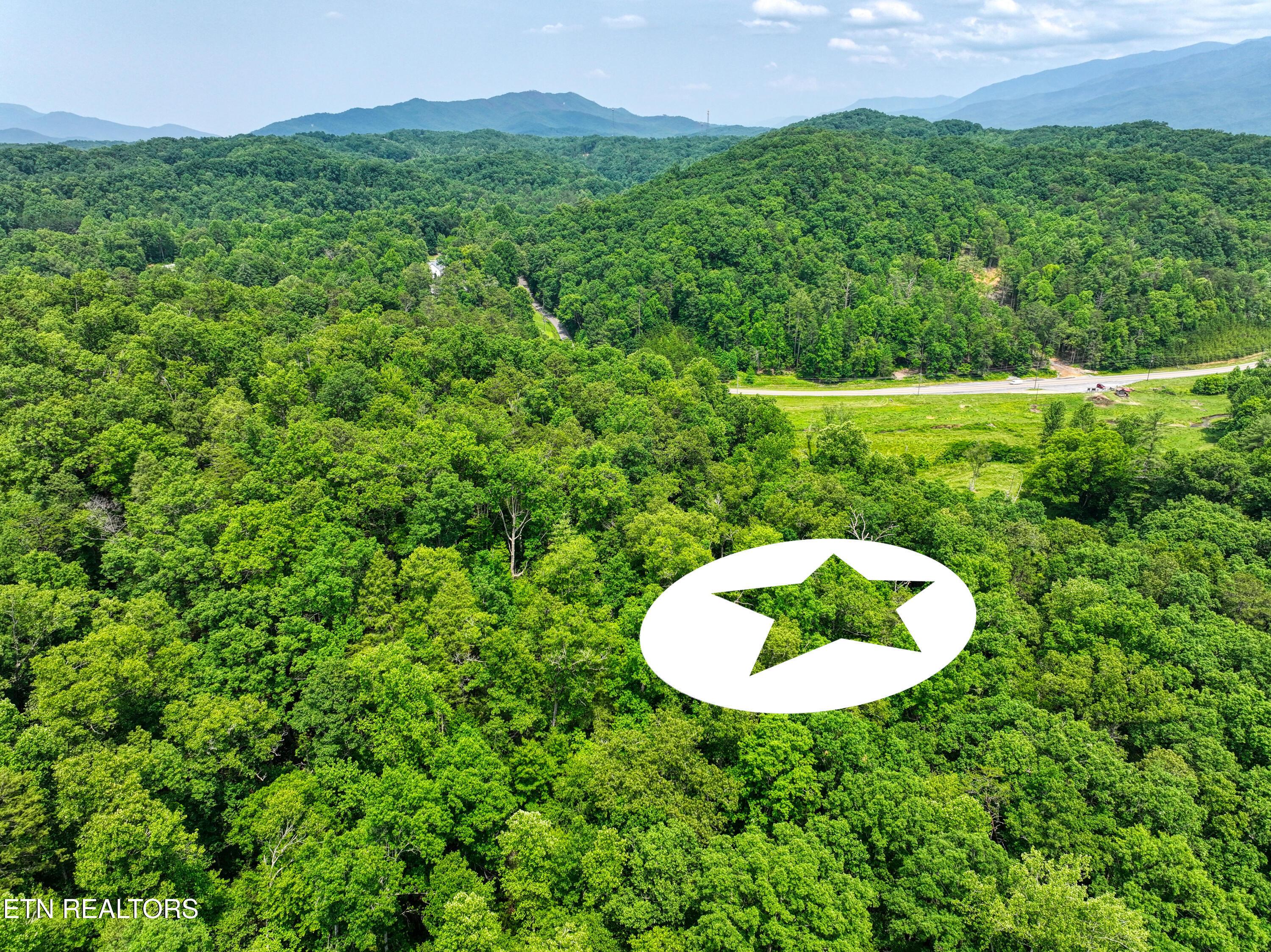 Image 4: DJI_20250611150156_0078_D_116