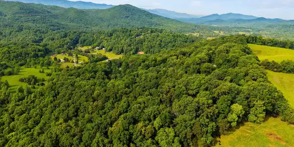 Image 2: 09-Country Mountain Rd 09