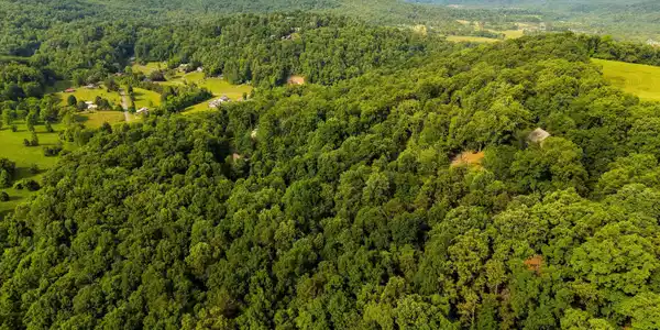 Image 4: 06-Country Mountain Rd 06