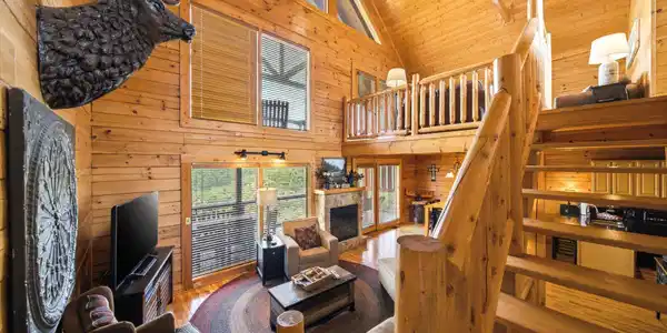 Image 4: 914 Black Bear Cub Way