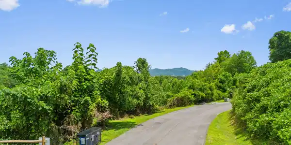 Lot 42 Pine Peak Way