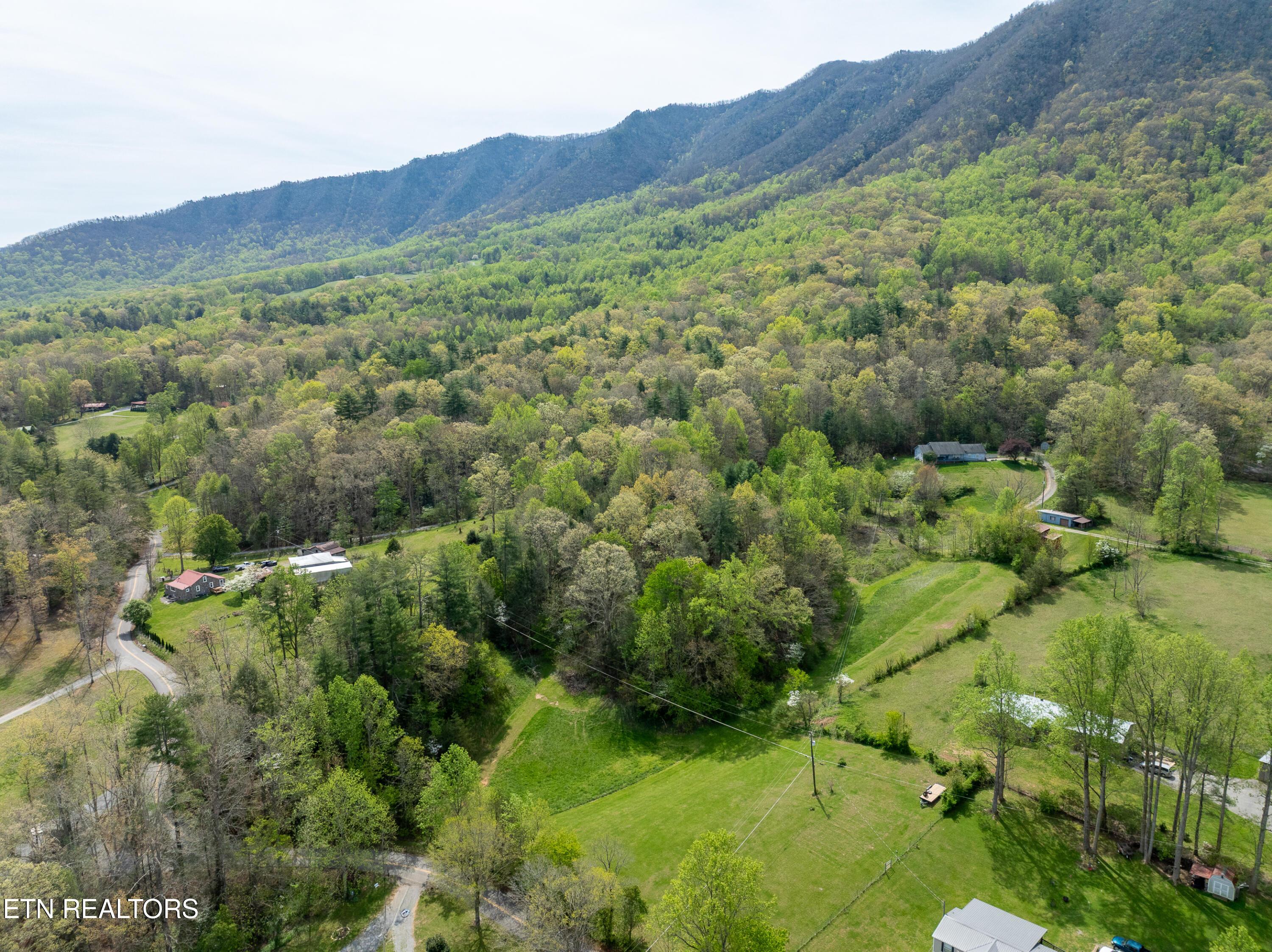 Image 3: DJI_0002-HDR
