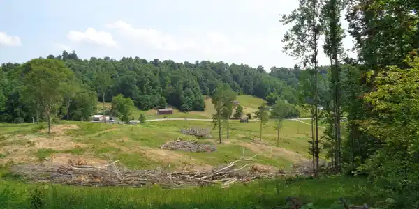 Image 2: DSC00875