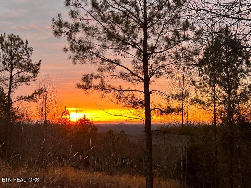 Image 4: 20260305182041433018000000-o