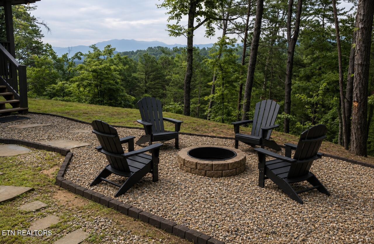Image 4: Firepit 1