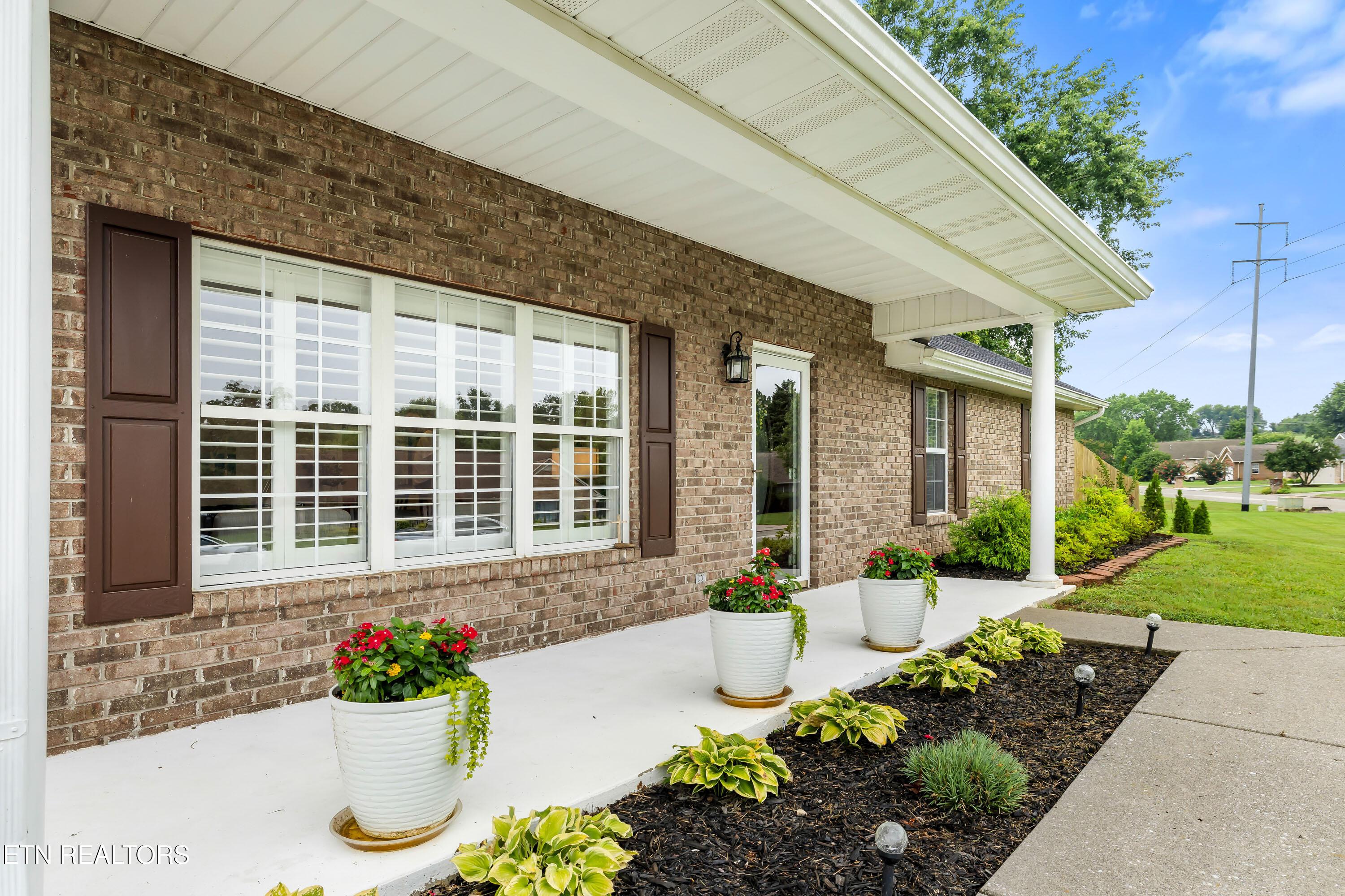 Image 3: Front walkway