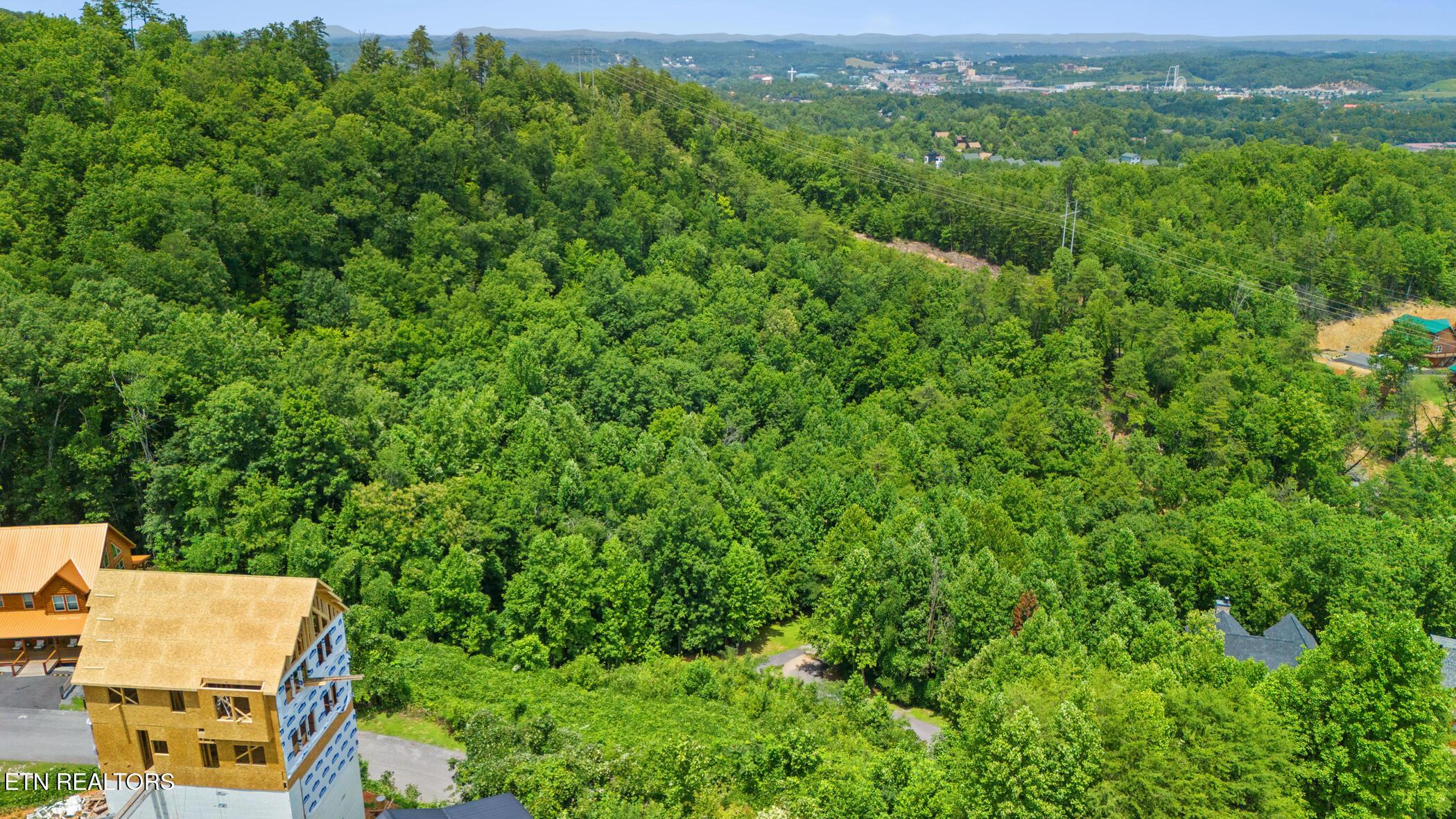 Image 2: dji_20250722135603_0766_d
