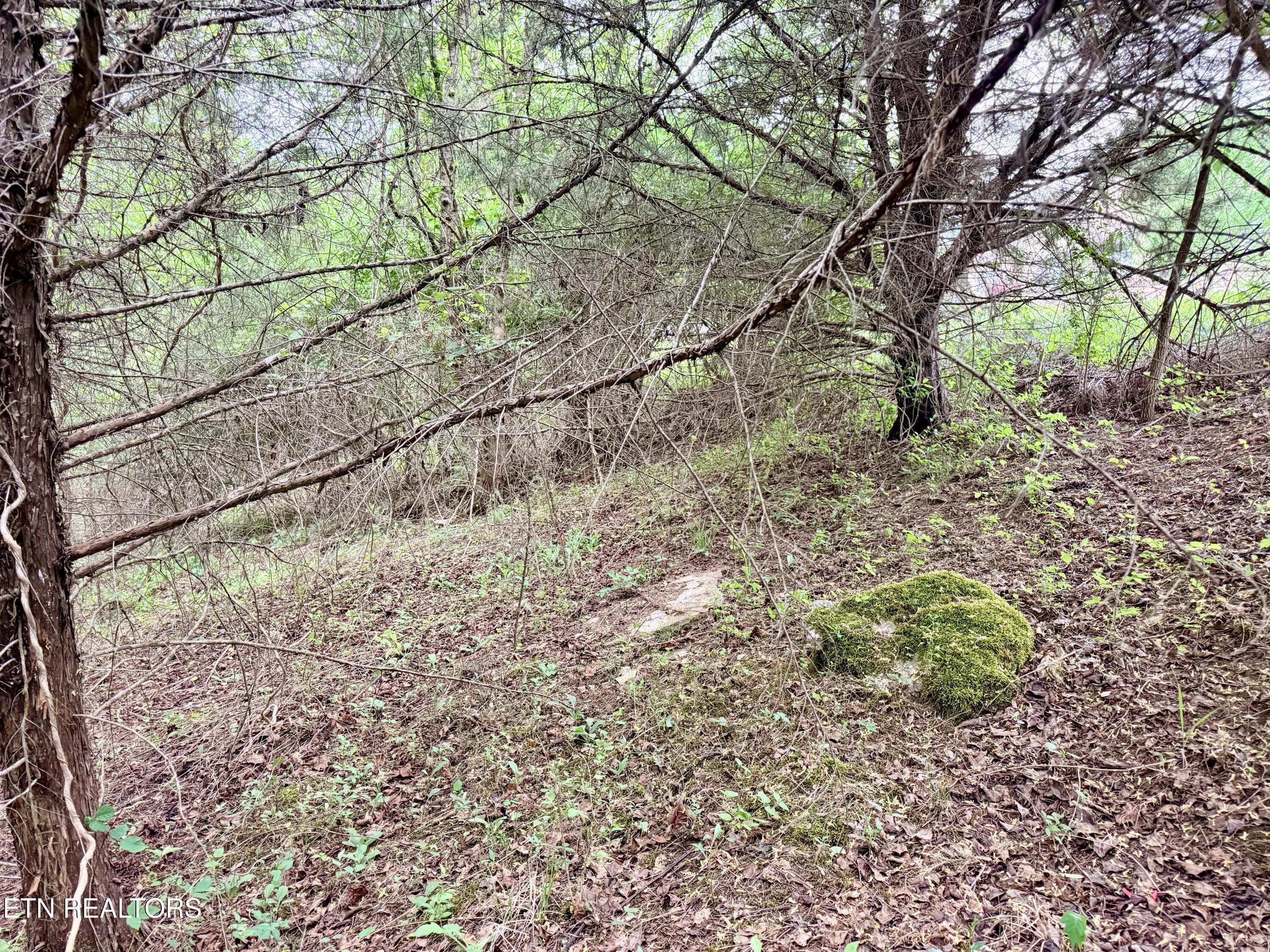 Image 3: Lot 206 Wedge Way