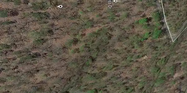 Image 2: 828h