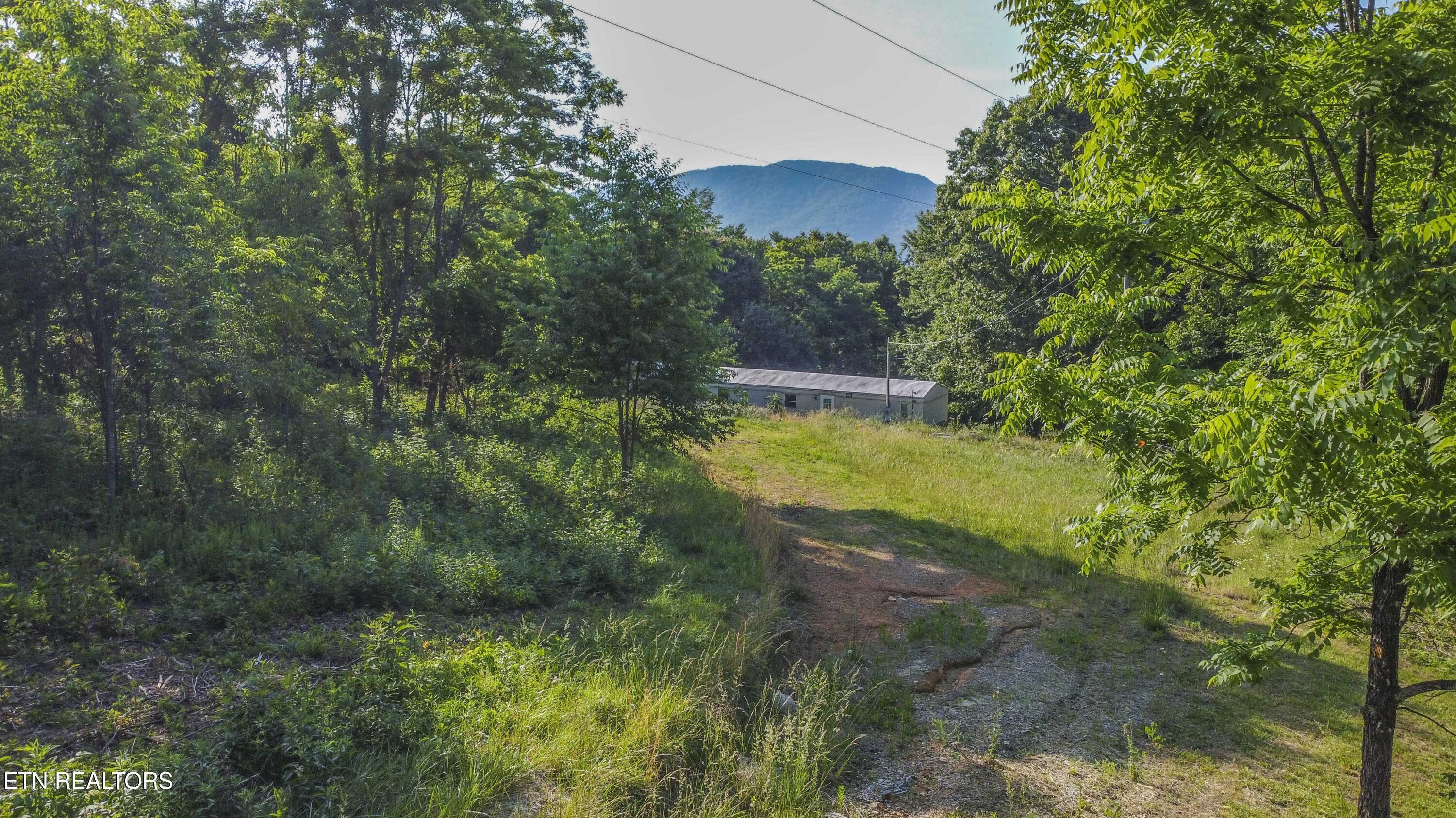 Image 3: ground_1