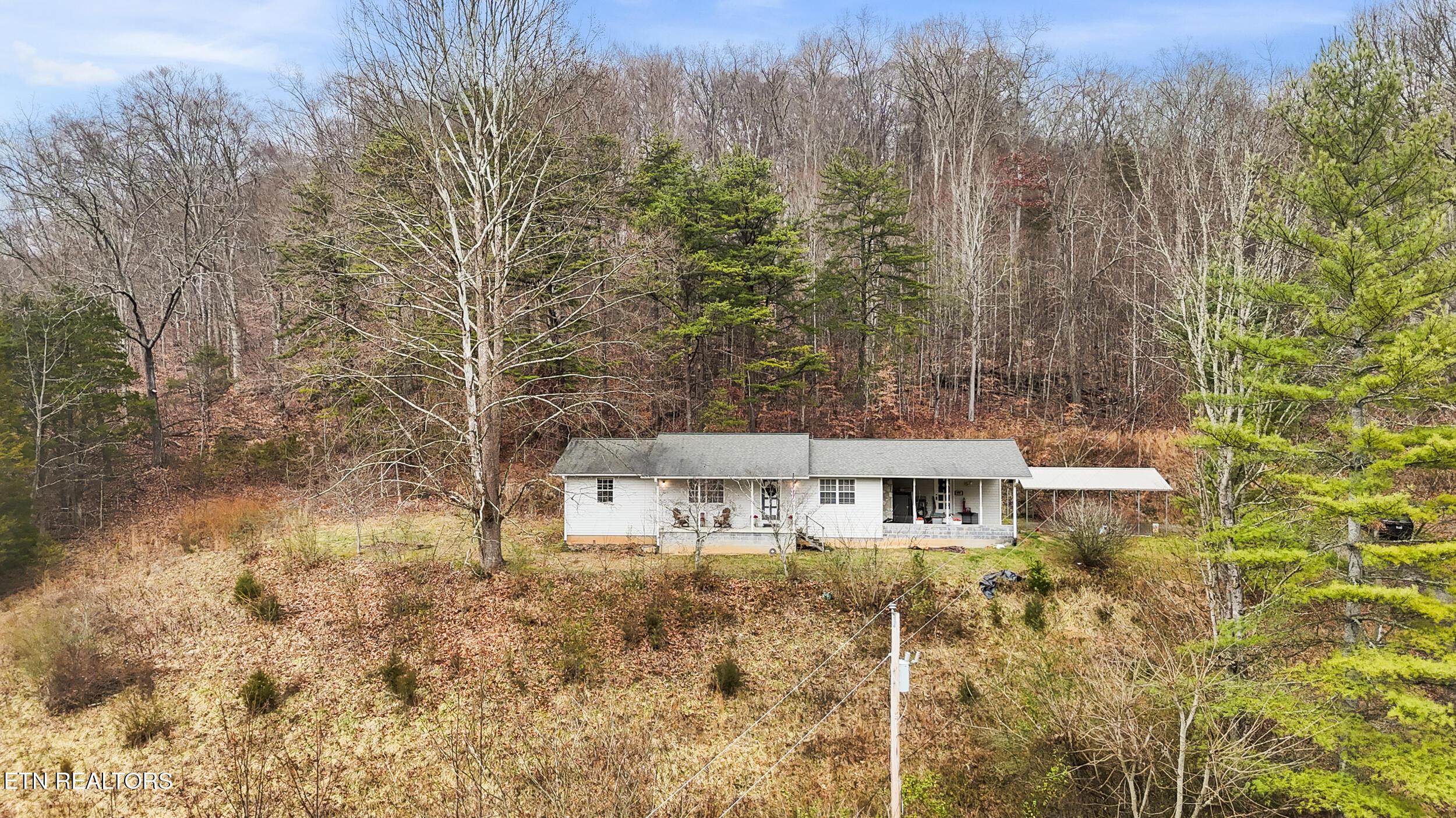 Image 3: DJI_20260109102334_0702_D_1