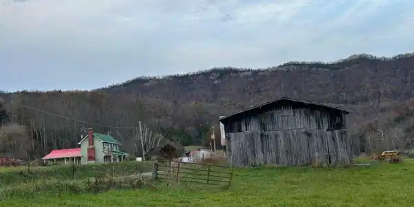 Image 2: pic 5