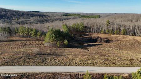 Lot 2&3 Honey Creek Loop Rd