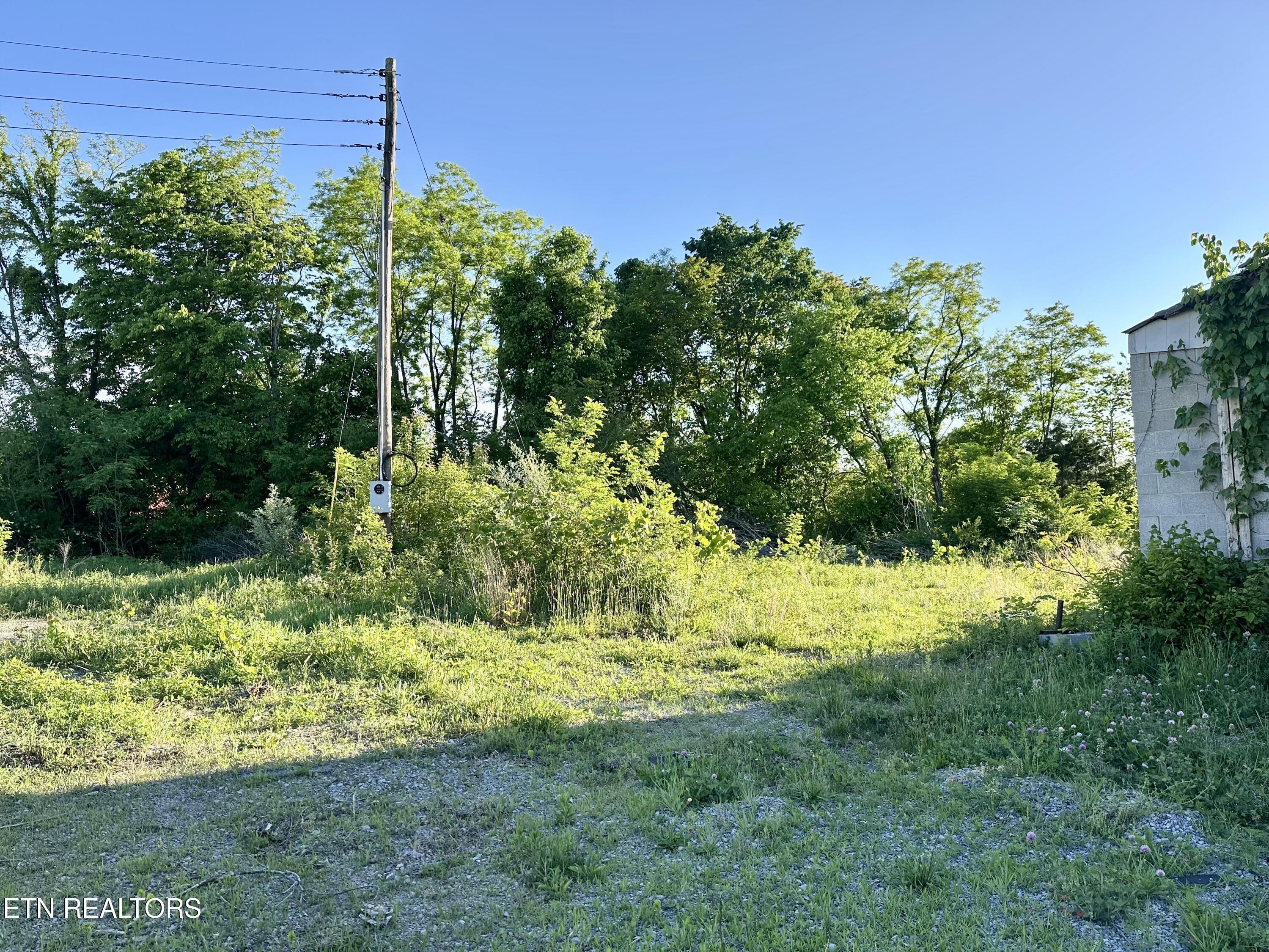 Image 4: IMG_2735