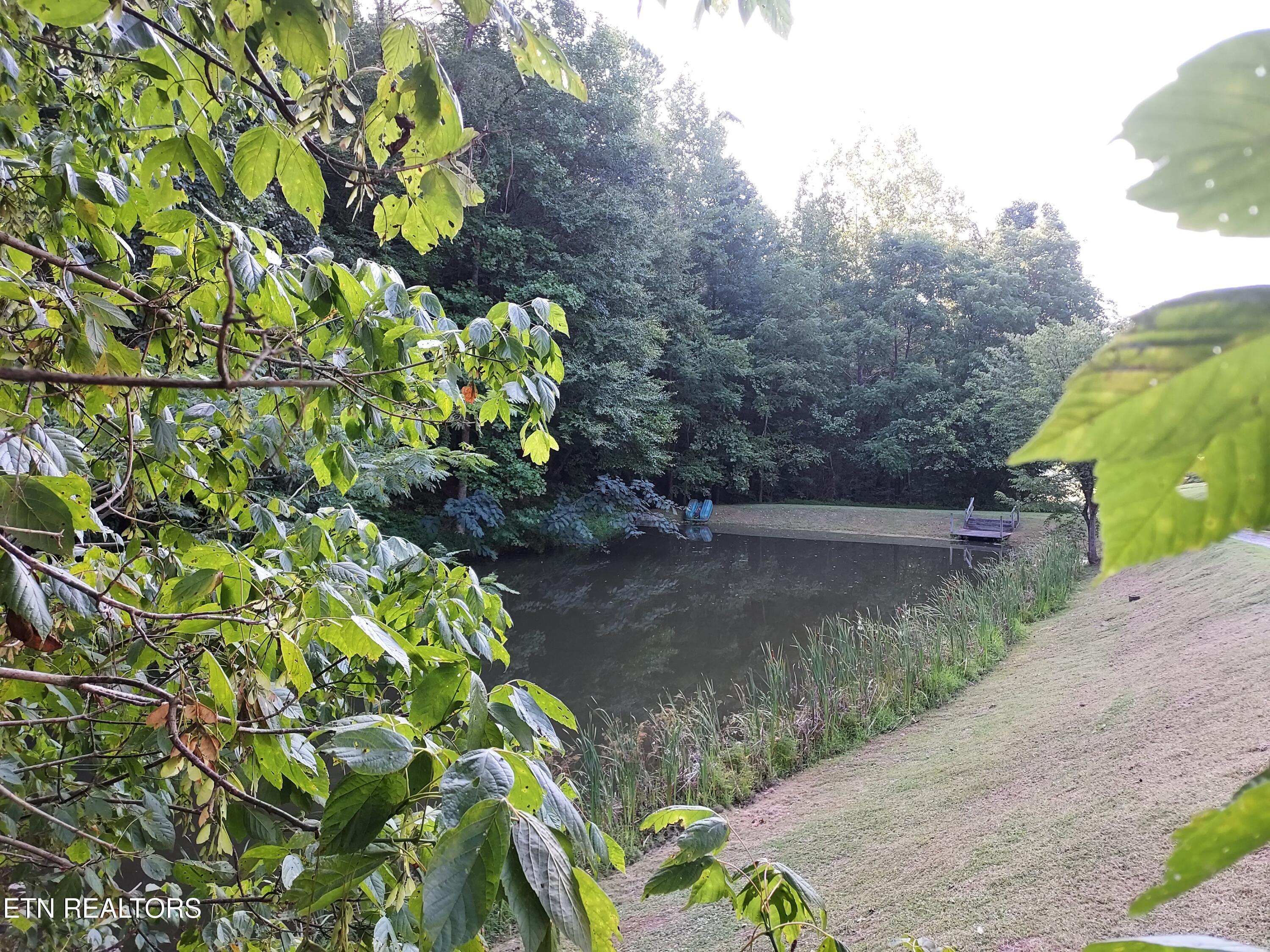 Image 4: 20240822_181532