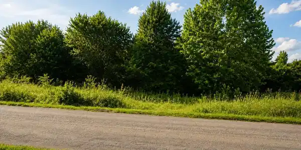 260 Buckner Rd