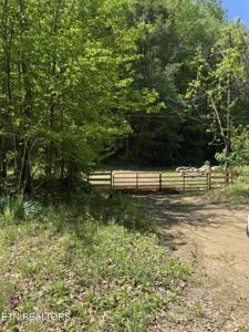 915 Chestnut Valley Rd