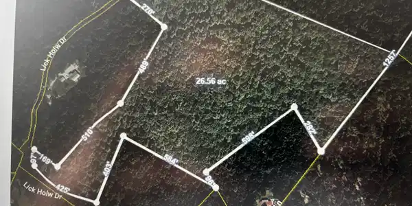 Image 2: Plat Rough