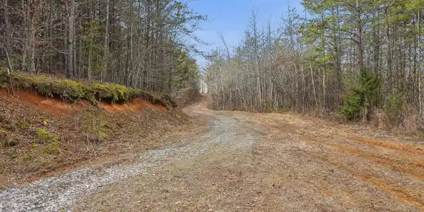 Image 4: 04-1518 Tom McCall Rd-4