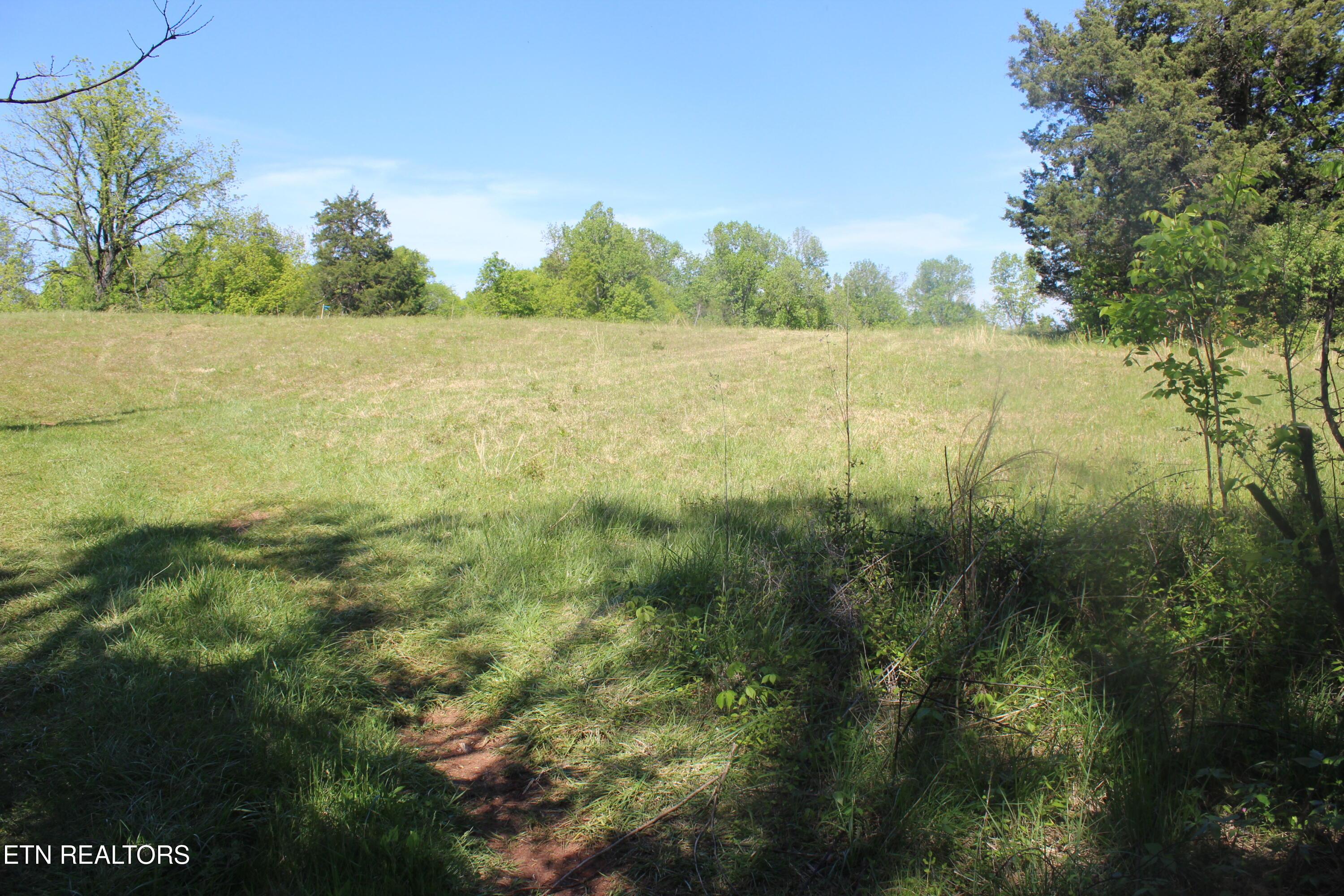 Image 1: Lot 2 Pic 1