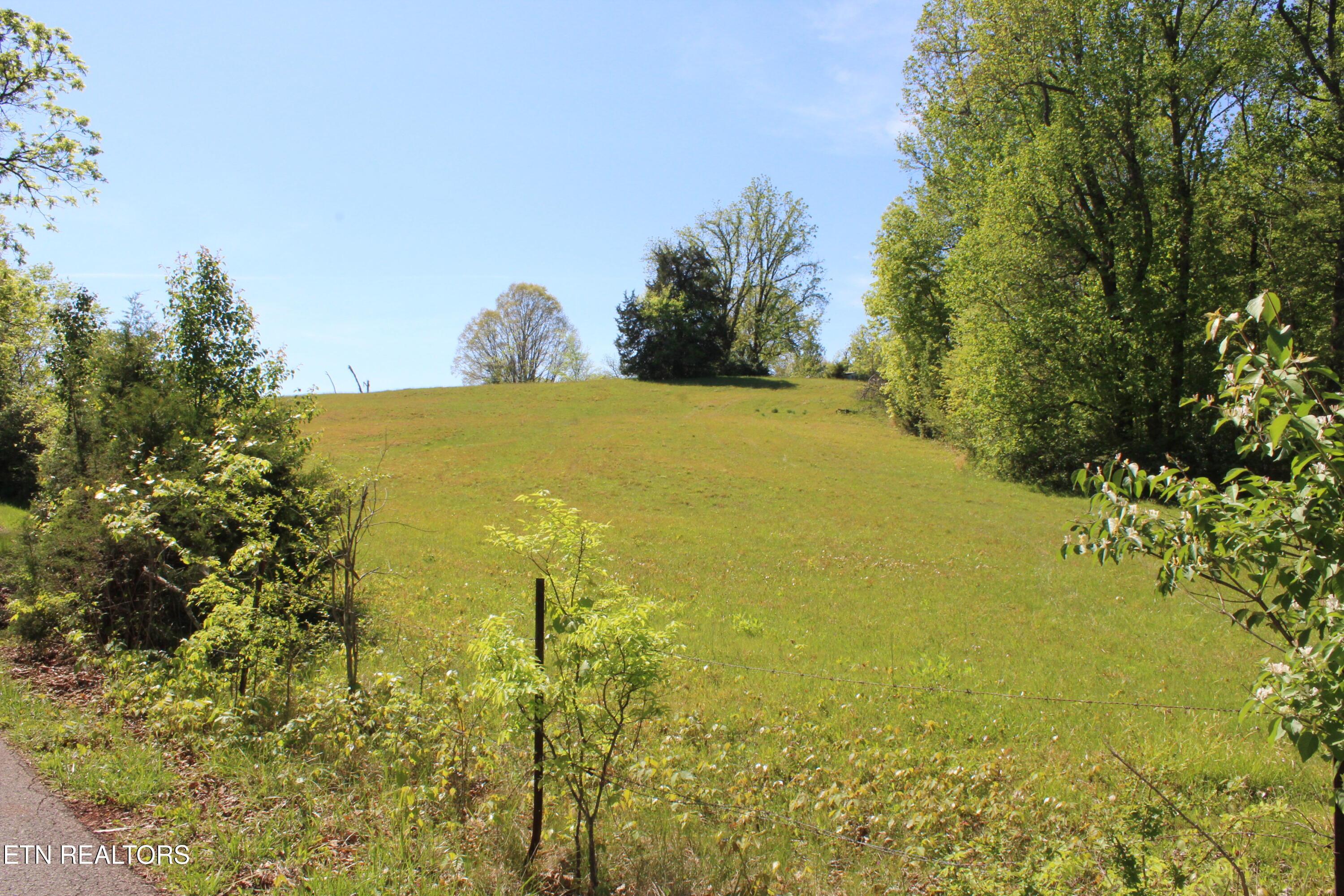 Image 3: Lot 2 Pic 3