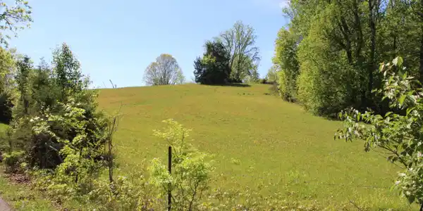 Image 3: Lot 2 Pic 3