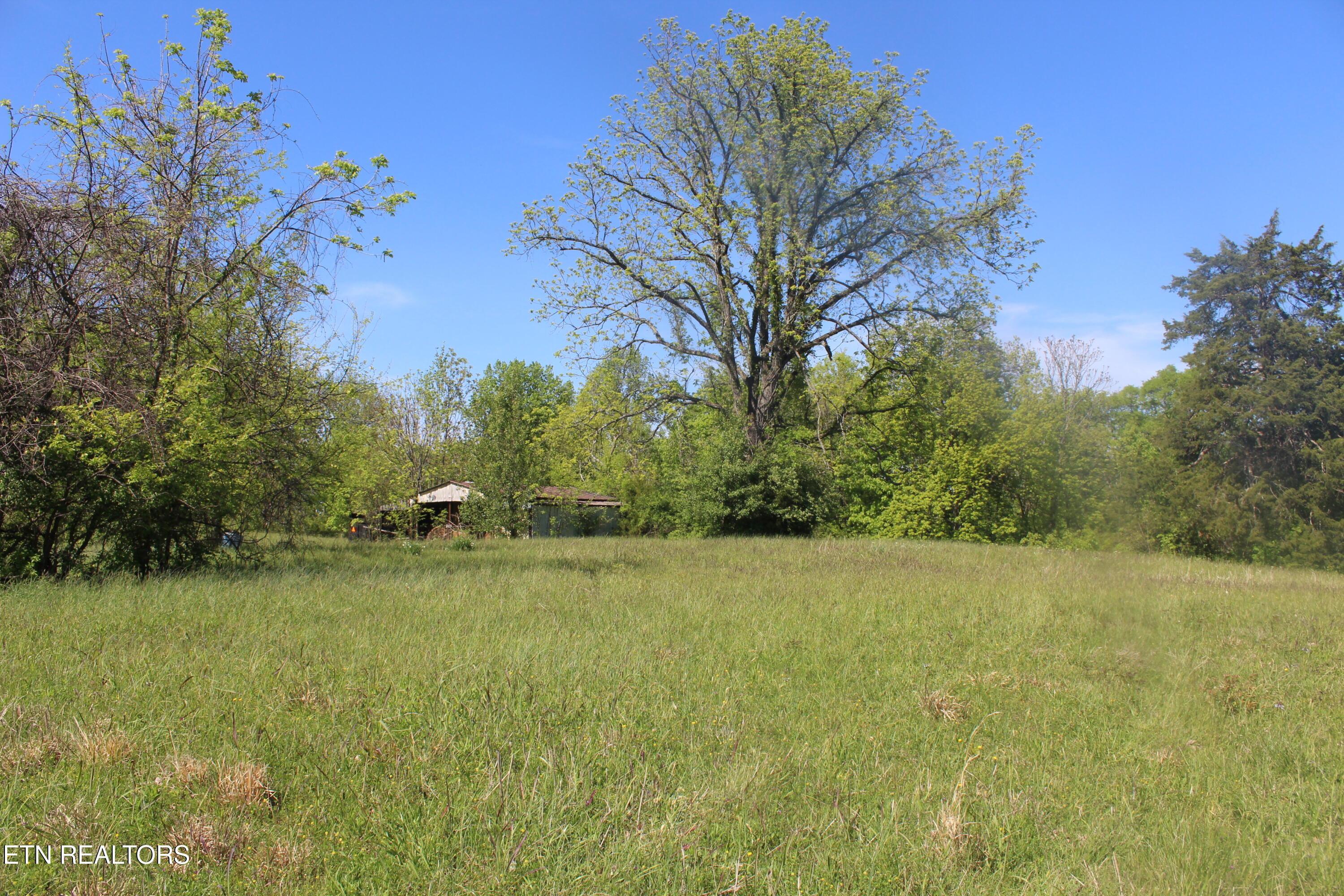 Image 4: Lot 2 Pic 4