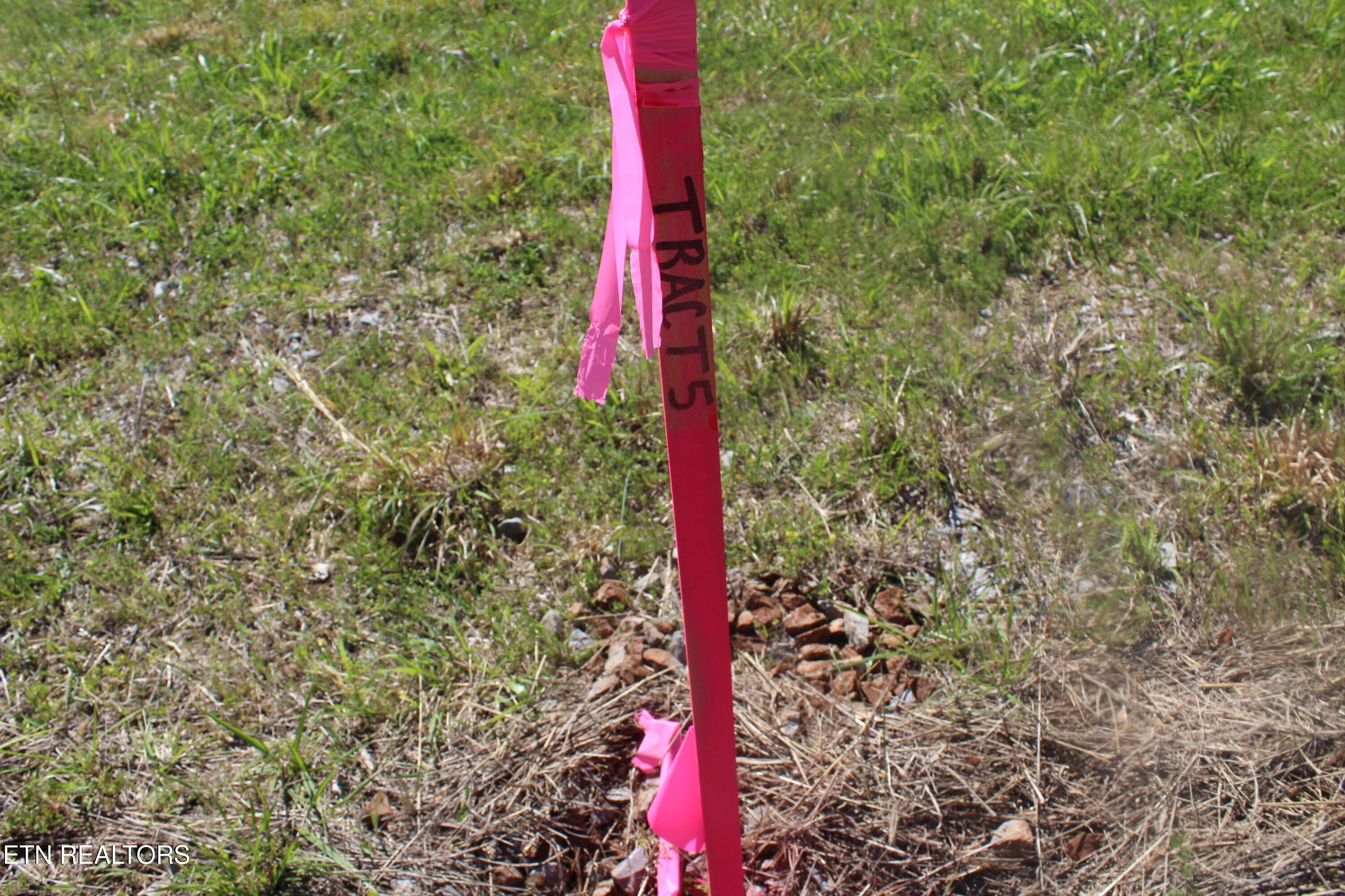 Image 2: Lot 5 Pic 2