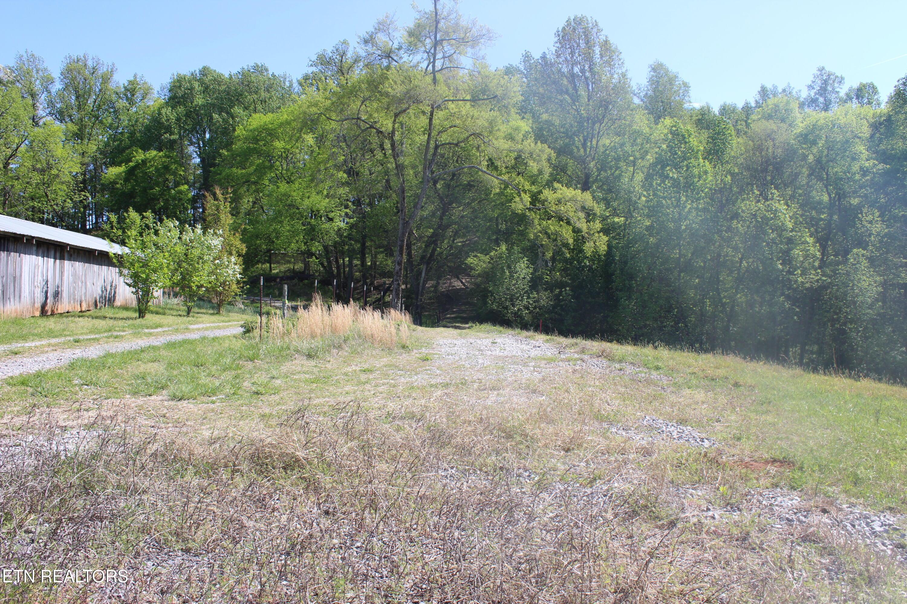 Image 3: Lot 5 Pic 3
