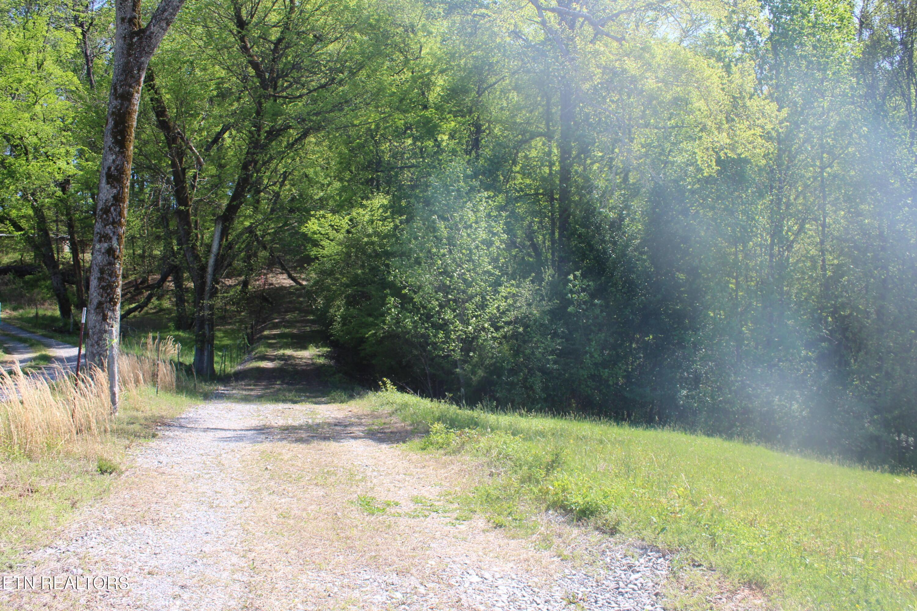 Image 4: Lot 5 Pic 4