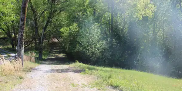 Image 4: Lot 5 Pic 4