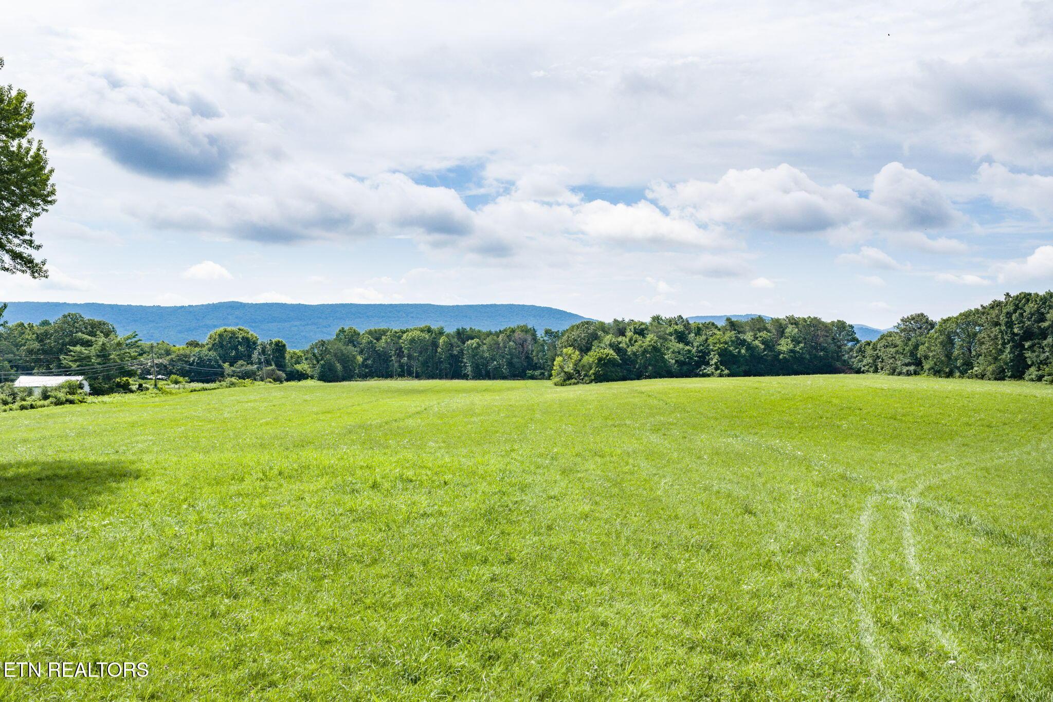 Image 2: 6-web-or-mls-6388 Chestnut Hill Rd_028_T