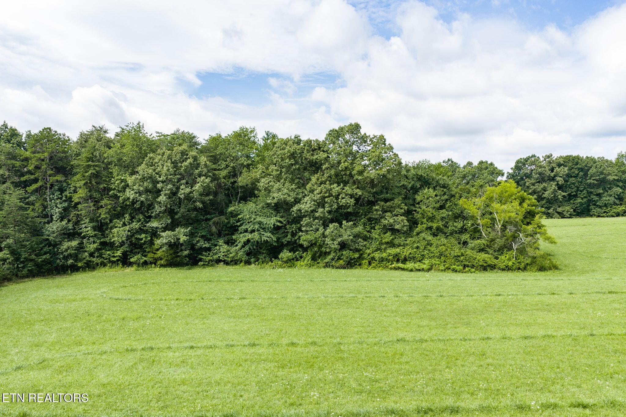 Image 4: 11-web-or-mls-6388 Chestnut Hill Rd_055_