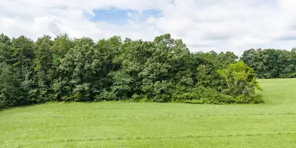 Image 4: 11-web-or-mls-6388 Chestnut Hill Rd_055_