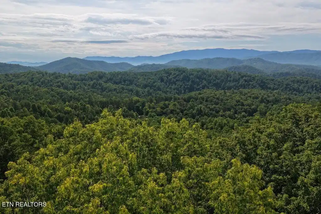 Image 1: Lot 26 Just above trees