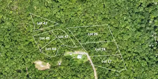 Image 2: Shady Oaks aerial with property lines