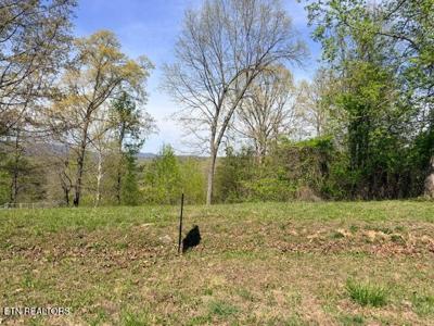 Lot 74 Saddleridge Drive